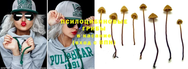 стафф Балахна