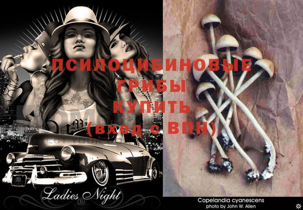стафф Балахна