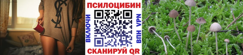 Псилоцибиновые грибы Cubensis  дарк нет телеграм  Гатчина 